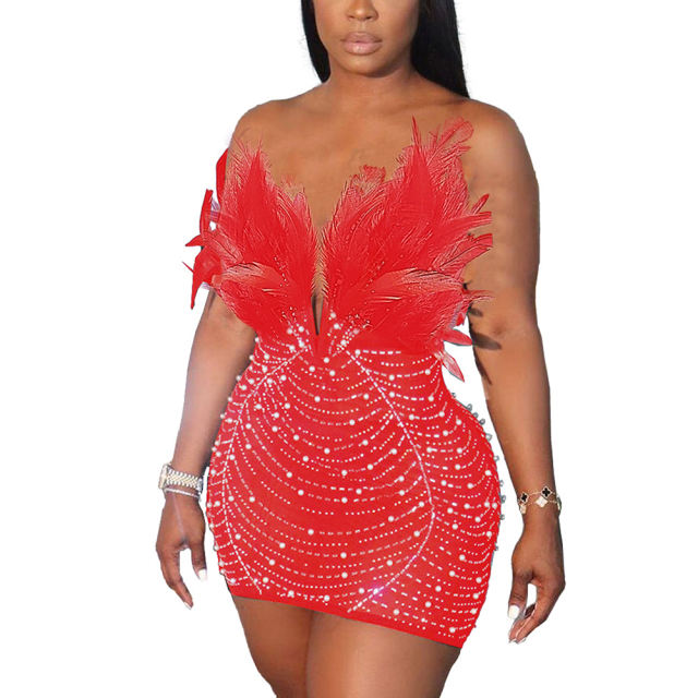 Red Feather Detail Rhinestones Mesh Bodycon Dress