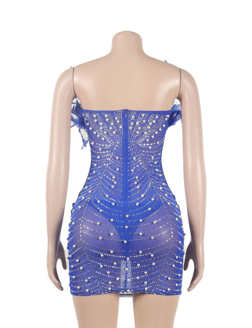Blue Feather Detail Rhinestones Mesh Bodycon Dress