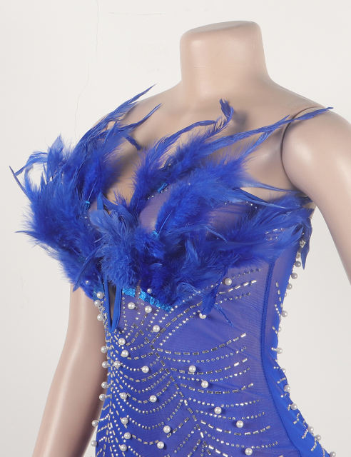Blue Feather Detail Rhinestones Mesh Bodycon Dress
