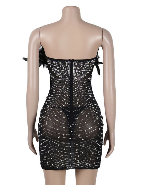 Black Feather Detail Rhinestones Mesh Bodycon Dress