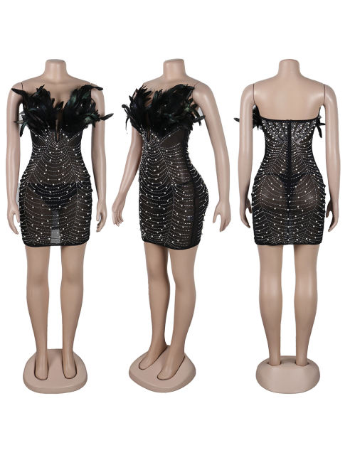 Black Feather Detail Rhinestones Mesh Bodycon Dress