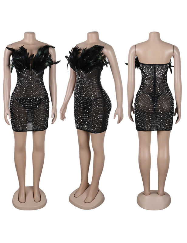 Black Feather Detail Rhinestones Mesh Bodycon Dress