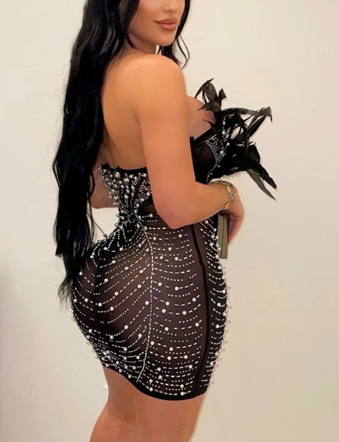 Black Feather Detail Rhinestones Mesh Bodycon Dress