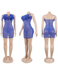 Blue Feather Detail Rhinestones Mesh Bodycon Dress