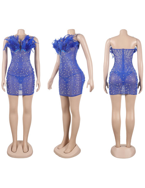 Blue Feather Detail Rhinestones Mesh Bodycon Dress