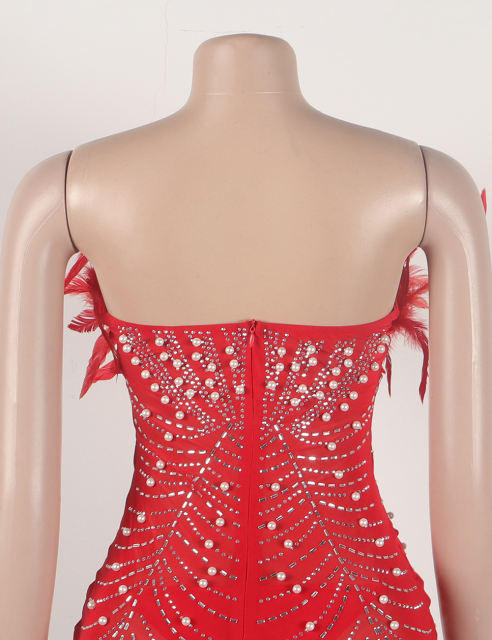 Red Feather Detail Rhinestones Mesh Bodycon Dress