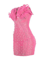 Pink Feather Detail Rhinestones Mesh Bodycon Dress