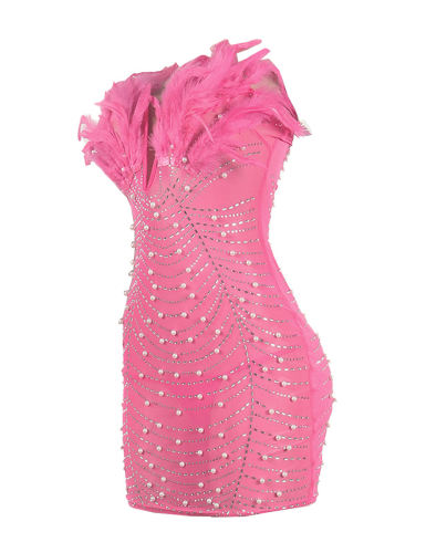 Pink Feather Detail Rhinestones Mesh Bodycon Dress