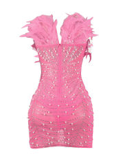 Pink Feather Detail Rhinestones Mesh Bodycon Dress