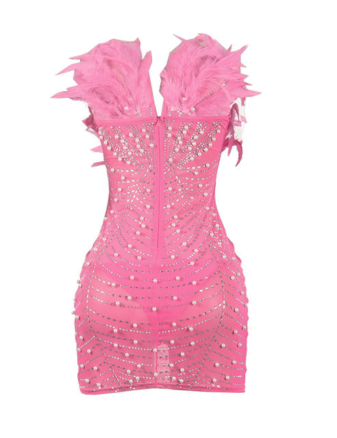 Pink Feather Detail Rhinestones Mesh Bodycon Dress