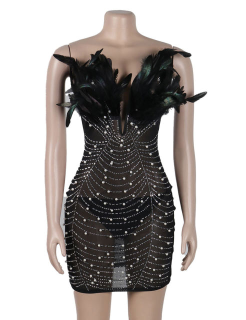 Black Feather Detail Rhinestones Mesh Bodycon Dress