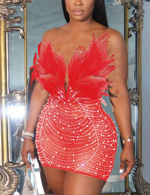 Red Feather Detail Rhinestones Mesh Bodycon Dress