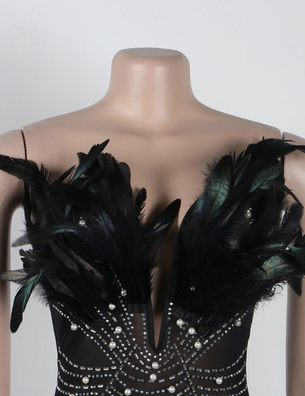Black Feather Detail Rhinestones Mesh Bodycon Dress