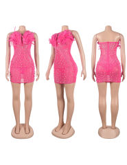 Pink Feather Detail Rhinestones Mesh Bodycon Dress