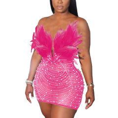 Pink Feather Detail Rhinestones Mesh Bodycon Dress