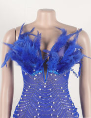 Blue Feather Detail Rhinestones Mesh Bodycon Dress