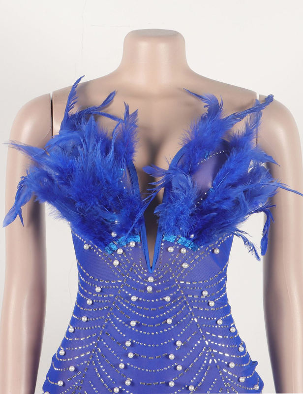 Blue Feather Detail Rhinestones Mesh Bodycon Dress