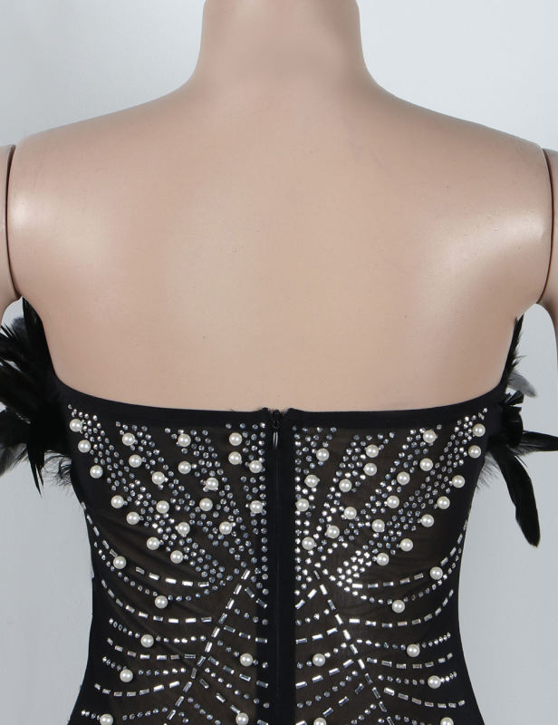 Black Feather Detail Rhinestones Mesh Bodycon Dress