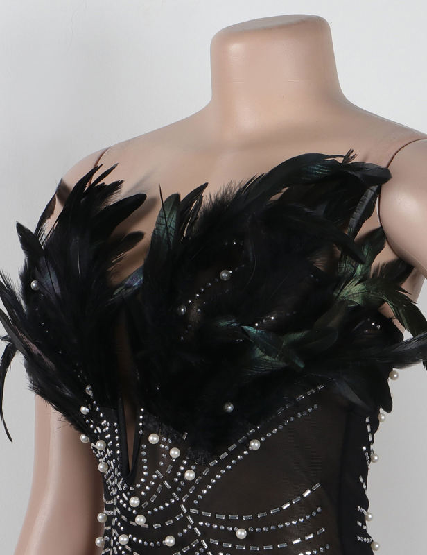 Black Feather Detail Rhinestones Mesh Bodycon Dress