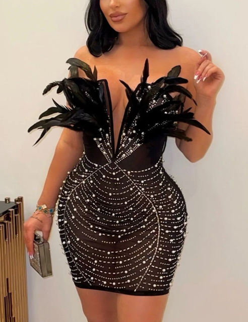 Black Feather Detail Rhinestones Mesh Bodycon Dress
