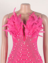Pink Feather Detail Rhinestones Mesh Bodycon Dress