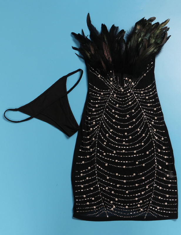 Black Feather Detail Rhinestones Mesh Bodycon Dress