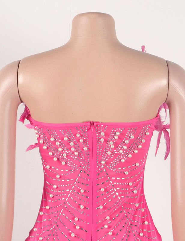 Pink Feather Detail Rhinestones Mesh Bodycon Dress