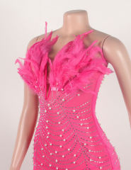 Pink Feather Detail Rhinestones Mesh Bodycon Dress