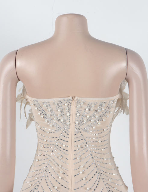 Apricot Feather Detail Rhinestones Mesh Bodycon Dress