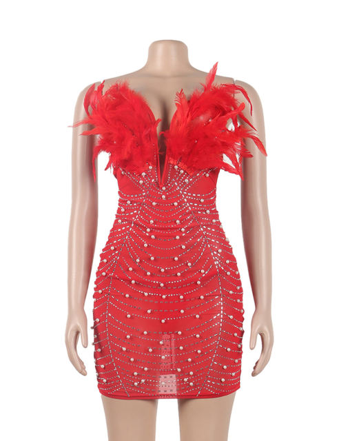 Red Feather Detail Rhinestones Mesh Bodycon Dress