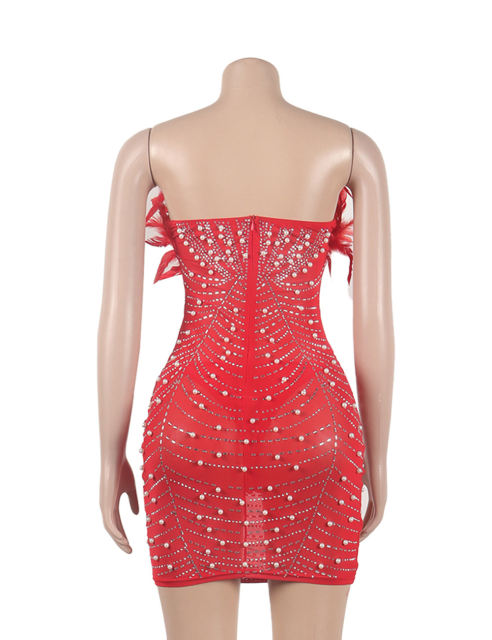 Red Feather Detail Rhinestones Mesh Bodycon Dress