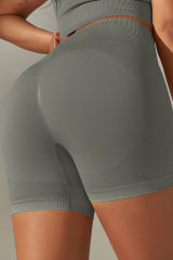 Dark Grey Solid Color High Waist Tummy Control Active Shorts