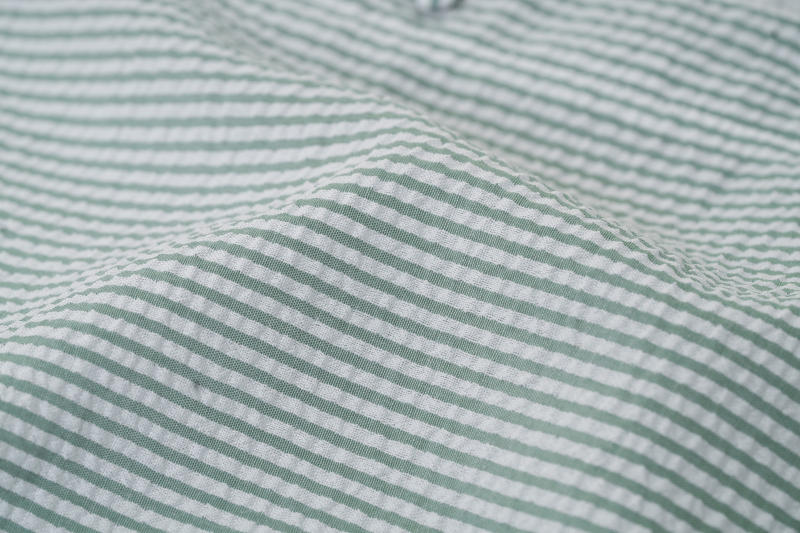 Green Stripe Print Contrast Lace Long Sleeve Shirt
