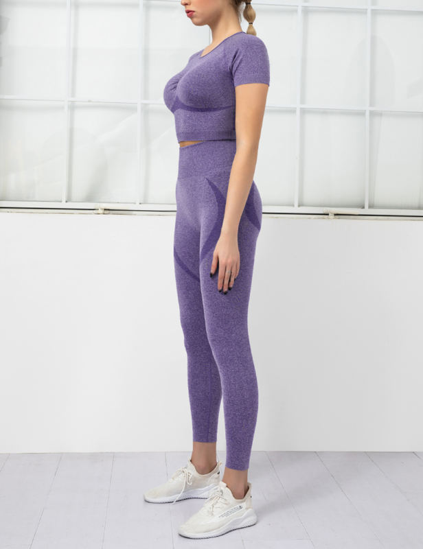 Purple Seamless Short Sleeve Top and Fitness Legging Sports Set