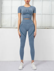 Blue Seamless Short Sleeve Top and Fitness Legging Sports Set