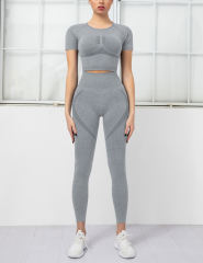 Gray Seamless Short Sleeve Top and Fitness Legging Sports Set