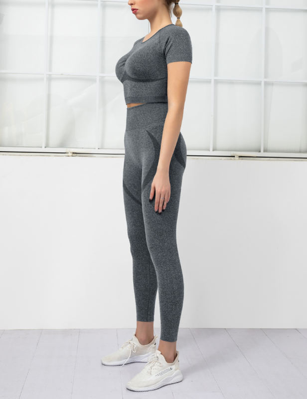 Dark Gray Seamless Short Sleeve Top and Fitness Legging Sports Set