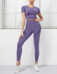 Purple Seamless Short Sleeve Top and Fitness Legging Sports Set