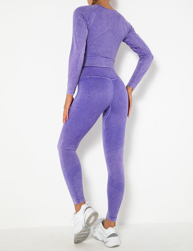 Purple Seamless Long Sleeve Top and Legging Yoga Set