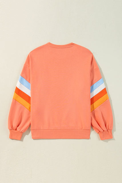 Flamingo Rainbow Striped Sleeve Crew Neck Loose Sweatshirt