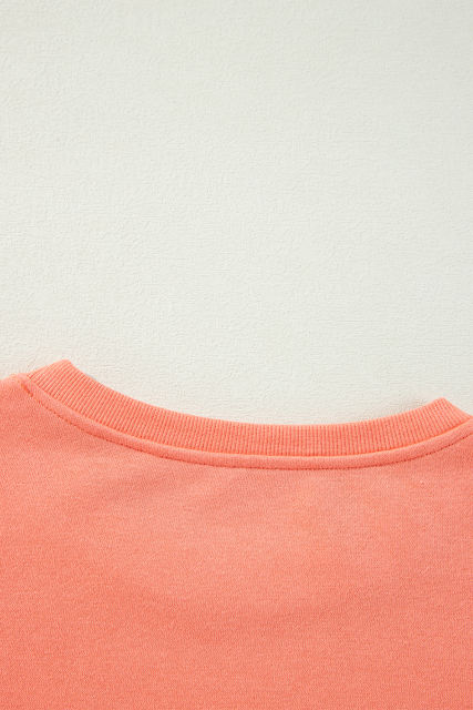 Flamingo Rainbow Striped Sleeve Crew Neck Loose Sweatshirt