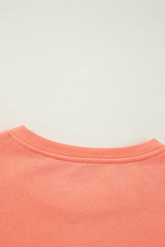 Flamingo Rainbow Striped Sleeve Crew Neck Loose Sweatshirt