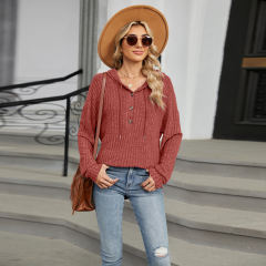 Rust Red Solid Color Loose Fit Drawstring Hoodie