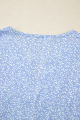 Sky Blue Floral Embroidered Puff Sleeve Notched V Neck Blouse