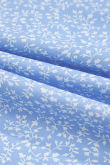 Sky Blue Floral Embroidered Puff Sleeve Notched V Neck Blouse