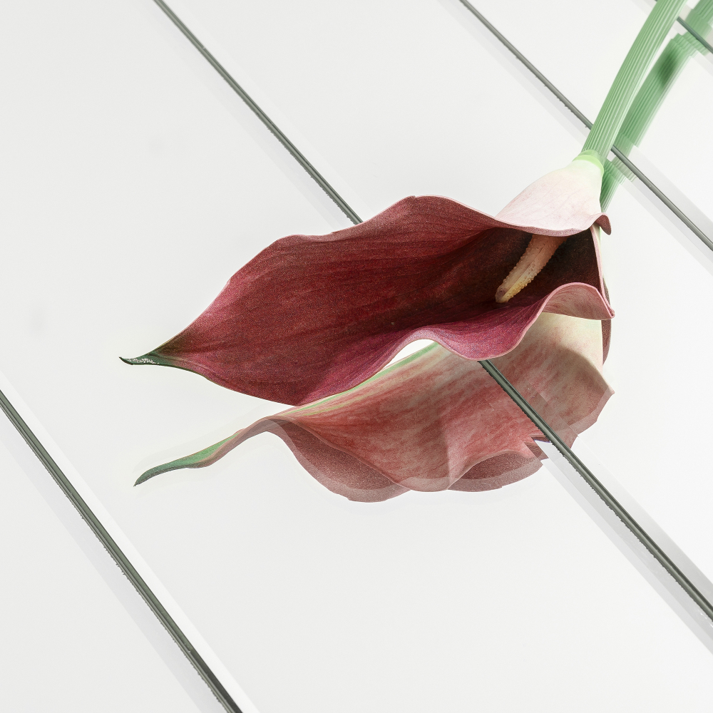 SHYFOY Modern Sunburst Framless Irregular Accent Wall Mirror - 43.3"×21.65"