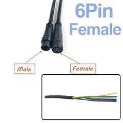 6 Pin Female