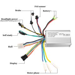 250W controller