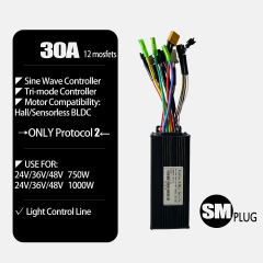 30A Controller