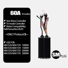 60A Controller
